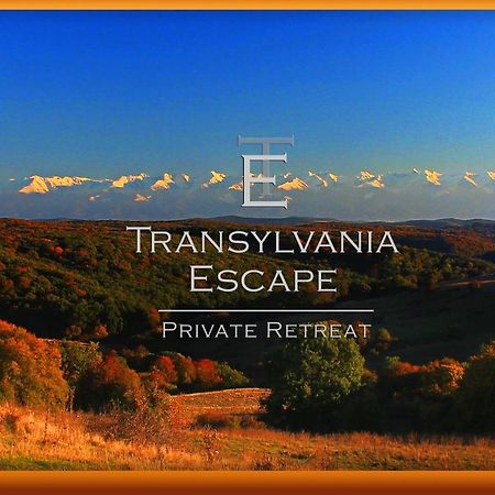 Apartament Transylvania Escape Richisu Zewnętrze zdjęcie