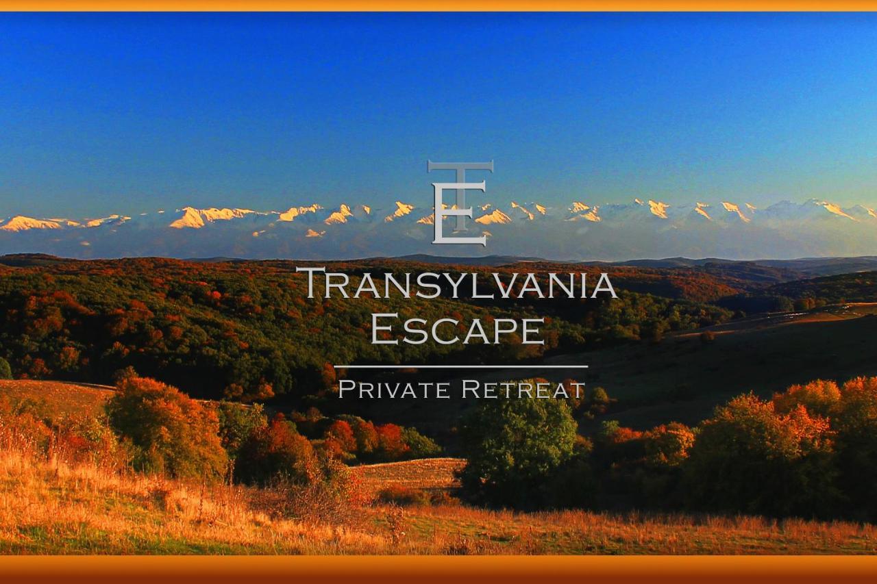 Apartament Transylvania Escape Richisu Zewnętrze zdjęcie