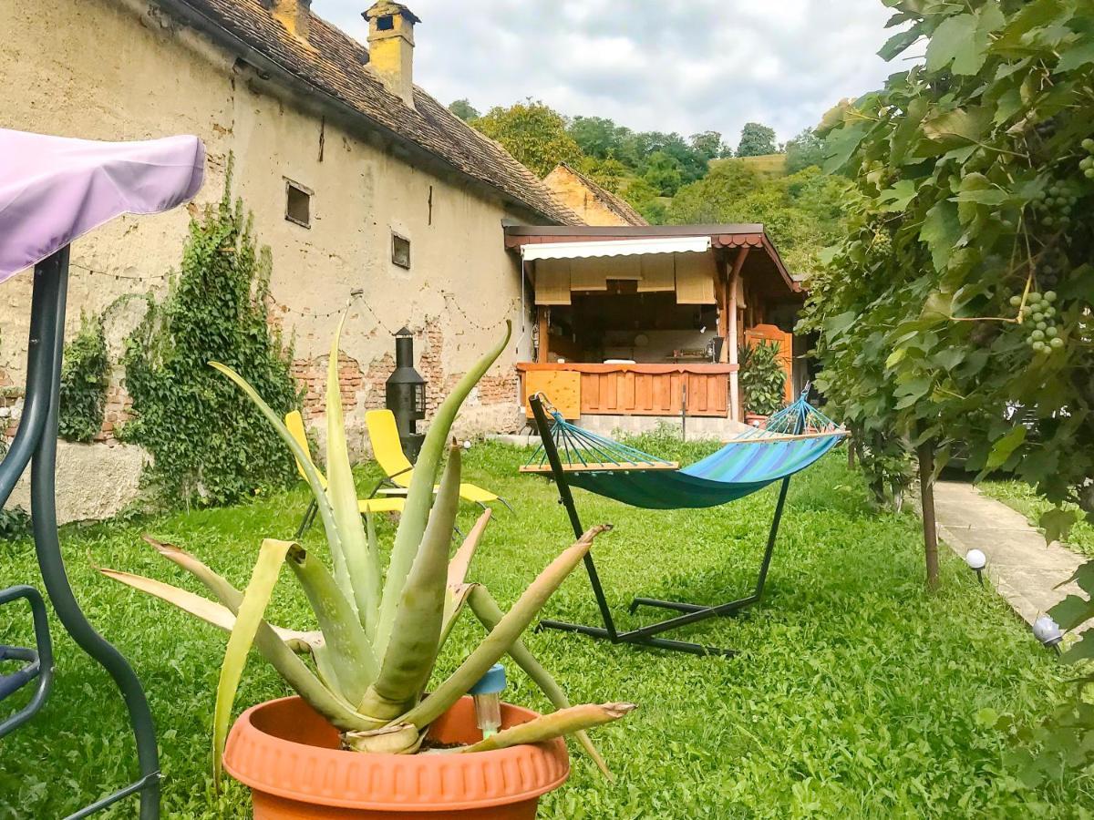 Apartament Transylvania Escape Richisu Zewnętrze zdjęcie