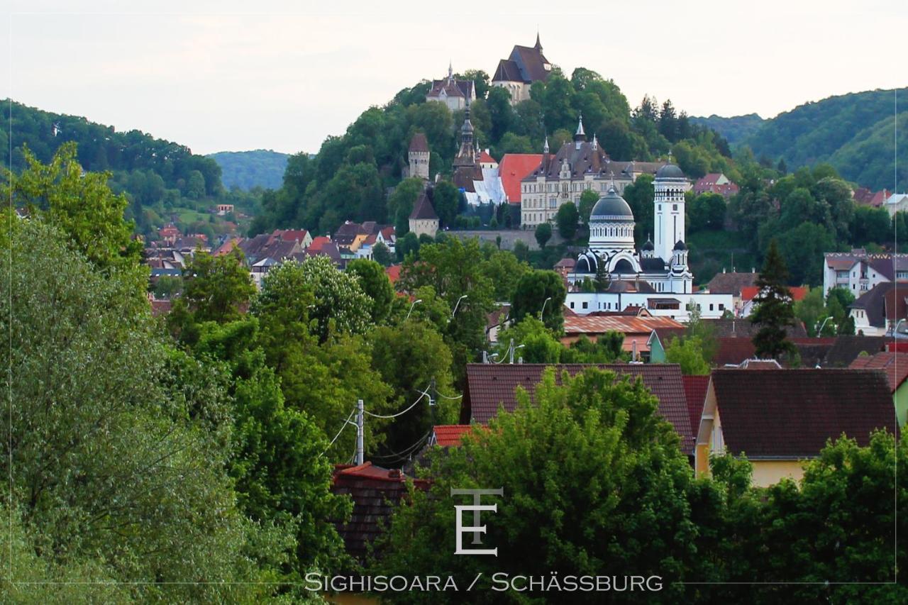 Apartament Transylvania Escape Richisu Zewnętrze zdjęcie