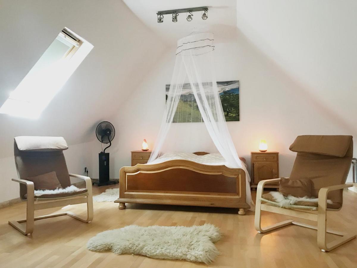 Apartament Transylvania Escape Richisu Zewnętrze zdjęcie