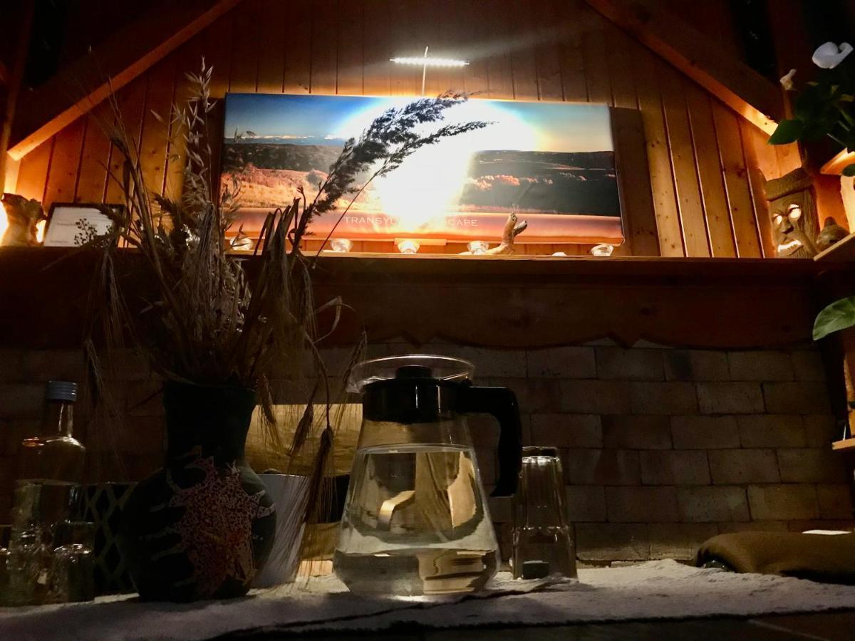 Apartament Transylvania Escape Richisu Zewnętrze zdjęcie